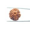 7-Mukhi-Nepal-Rudraksha-22.06Mm-Mp-C.jpg