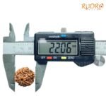 7-Mukhi-Nepal-Rudraksha-22.06Mm-Op-C.jpg