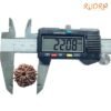 7 Mukhi Nepal Rudraksha (22.08Mm) 15 7-Mukhi-Nepal-Rudraksha-22.08Mm-Op-C.jpg
