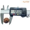 7 Mukhi Nepal Rudraksha (22.11Mm) 15 7-Mukhi-Nepal-Rudraksha-22.11Mm-Op-C.jpg