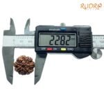 7-Mukhi-Nepal-Rudraksha-22.82Mm-Op-C.jpg