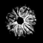 7 Mukhi Nepal Rudraksha (22.88 Mm) 9 7-Mukhi-Nepal-Rudraksha-22.88Mm-1.Jpg