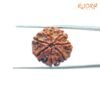 7 Mukhi Nepal Rudraksha (22.88Mm) 14 7-Mukhi-Nepal-Rudraksha-22.88Mm-Bp-C-2.Jpg