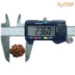 7-Mukhi-Nepal-Rudraksha-23.60Mm-Op-C.jpg