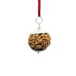 7 Mukhi Silver Capped Rudraksha Nepal
