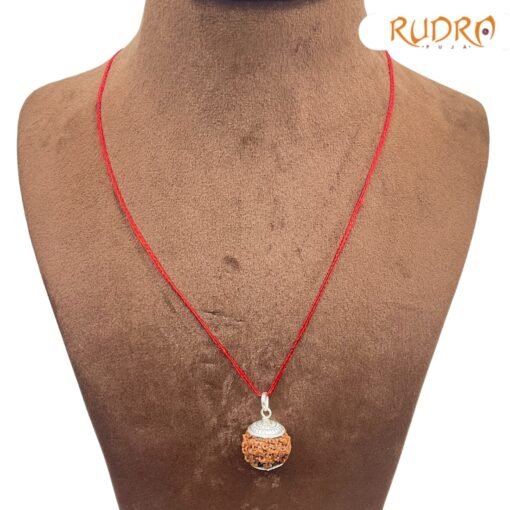 7-Face-Rudraksha-Nepal-Silver-Capped-21.10-Mm-Fp-C.jpg