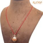 7-Face-Rudraksha-Nepal-Silver-Capped-21.10-Mm-Lp-C.jpg