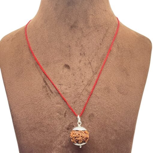 7-Face-Rudraksha-Nepal-Silver-Capped-21.10-Mm-Mp-C.jpg