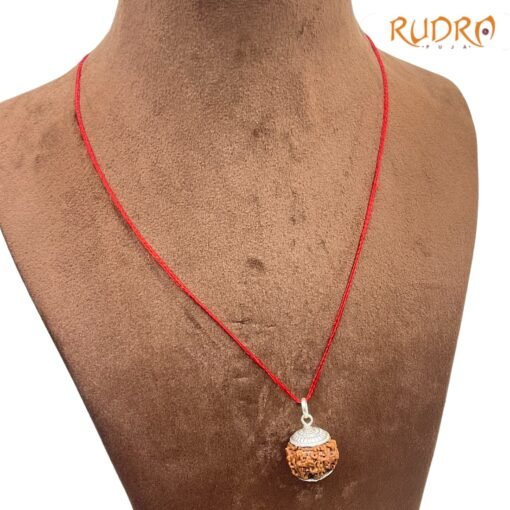7-Face-Rudraksha-Nepal-Silver-Capped-21.10-Mm-Rp-C.jpg