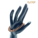 8 Mukhi Rudraksha Bracelet ( Indonesian Bead )