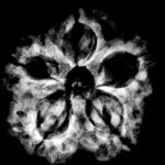 Collector 5 Mukhi Nepal Rudraksha - (23.09 MM)