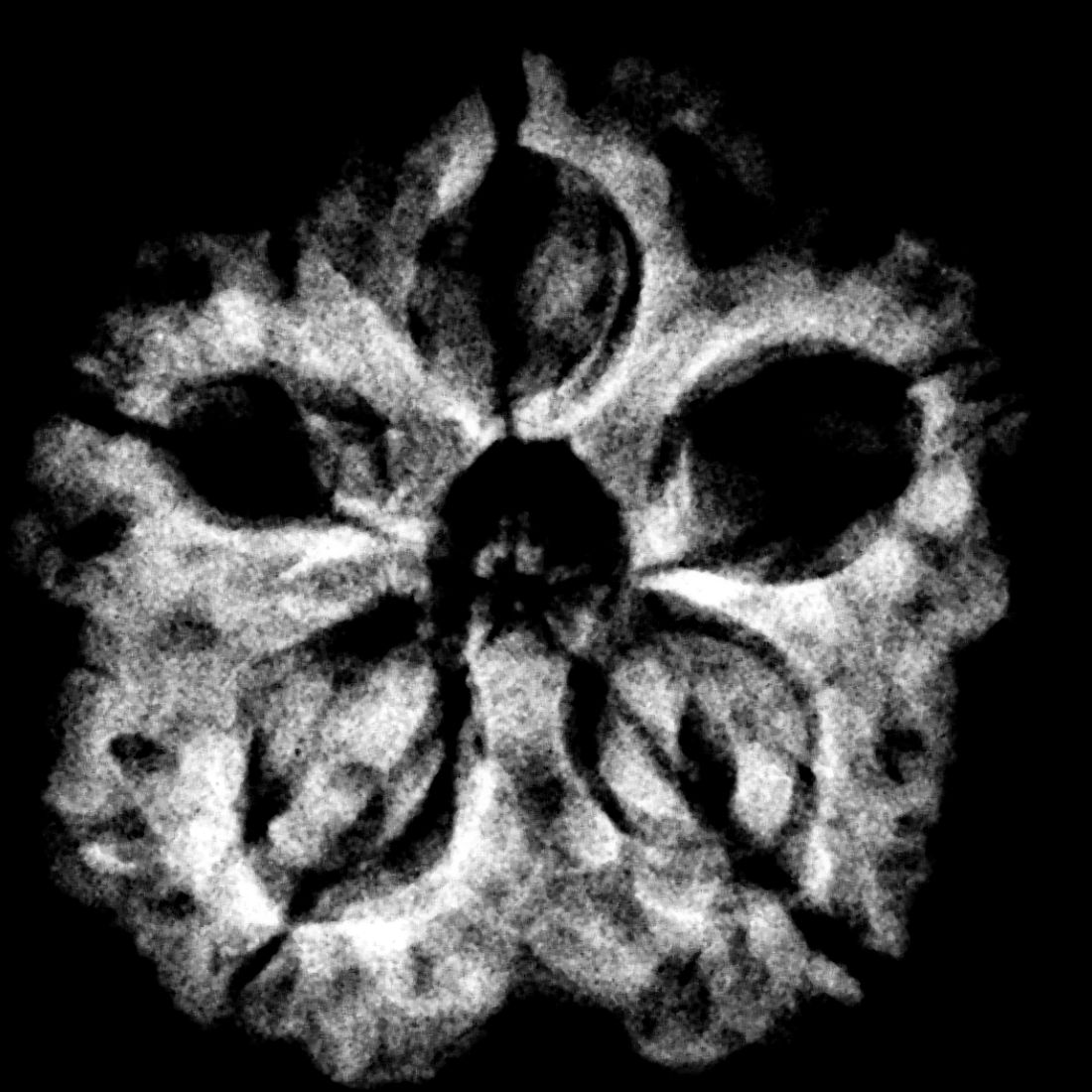 Collector 5 Mukhi Nepal Rudraksha - (23.09 MM)