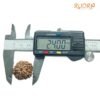 Collector 5 Mukhi Rudraksha Nepal - (24.00 Mm) 16 Collector 5 Mukhi Rudraksha Nepal - (24.00 Mm )