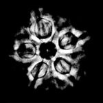 Collector 5 Mukhi Rudraksha Nepal - (24.45 MM)