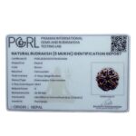 Collector 5 Mukhi Rudraksha Nepal - (24.58 MM)