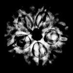 Collector 5 Mukhi Rudraksha Nepal - (24.70 MM)