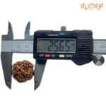 Collector-5-Mukhi-Rudraksha-Nepal-25.65-MM