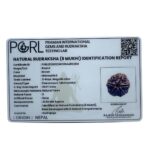 Collector 6 Mukhi Nepal Rudraksha - (23.82 MM)