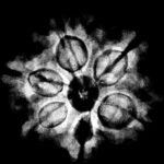 Collector 6 Mukhi Nepal Rudraksha - (24.08 MM)