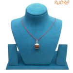 Collector 6 Mukhi Nepal Rudraksha With Silver Capping - (18.75 MM)