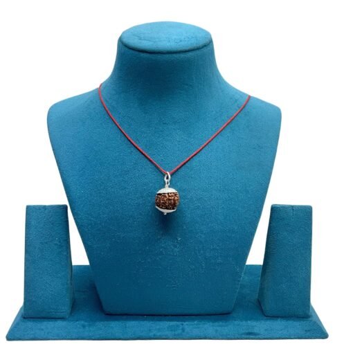 6 Mukhi Nepal Rudraksha With Silver Capping - (18.75 Mm)