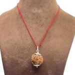 Collector 6 Mukhi Nepal Rudraksha With Silver Capping (24.70 mm)