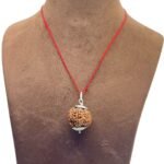 Collector 6 Mukhi Nepal Rudraksha With Silver Capping (24.70 mm)