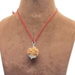 Collector 6 Mukhi Nepal Rudraksha With Silver Capping (24.83 mm)