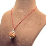 Collector 6 Mukhi Nepal Rudraksha With Silver Capping (25.97 Mm)