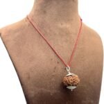 Collector 6 Mukhi Nepal Rudraksha With Silver Capping (25.97 Mm)