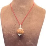 Collector 6 Mukhi Nepal Rudraksha With Silver Capping (25.97 mm)