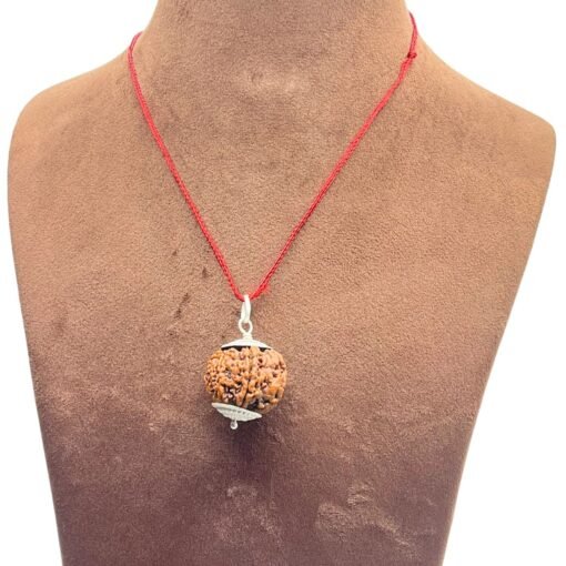 Collector 6 Mukhi Nepal Rudraksha With Silver Capping (25.97 Mm)