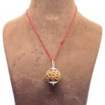 Collector 6 Mukhi Nepal Rudraksha With Silver Capping (26.13 mm)