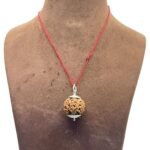 Collector 6 Mukhi Nepal Rudraksha With Silver Capping (26.13 mm)