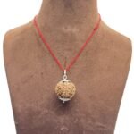 Collector 6 Mukhi Nepal Rudraksha With Silver Capping (26.55 mm)