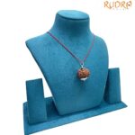 Collector 6 Mukhi Nepal Rudraksha With Silver Capping - (26.70 MM)