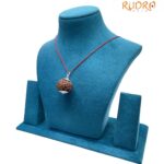 Collector 6 Mukhi Nepal Rudraksha With Silver Capping - (26.70 MM)