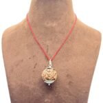 Collector 6 Mukhi Nepal Rudraksha With Silver Capping (26.71 mm)