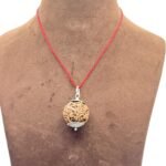 Collector 6 Mukhi Nepal Rudraksha With Silver Capping (26.71 mm)