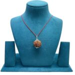 Collector 6 Mukhi Nepal Rudraksha With Silver Capping - (27.20 MM)