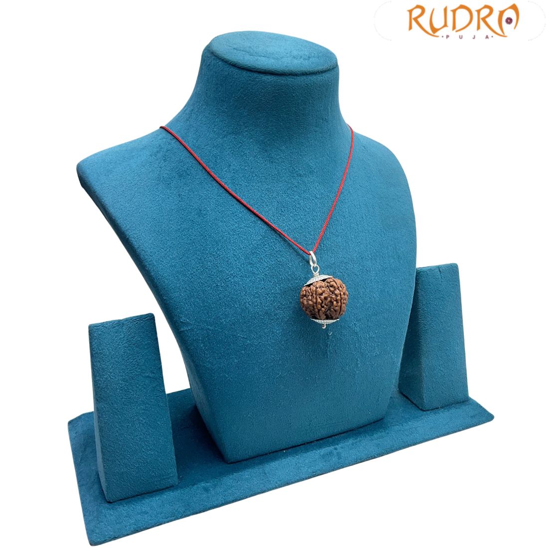 Collector 6 Mukhi Nepal Rudraksha With Silver Capping - (27.20 MM)