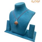 Collector 6 Mukhi Nepal Rudraksha With Silver Capping - (27.20 MM)