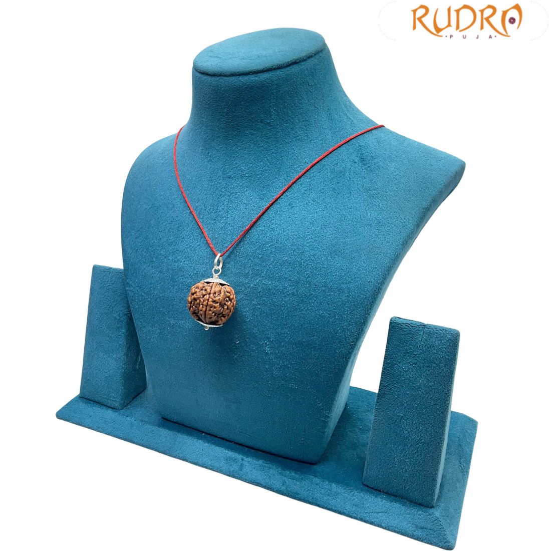 Collector 6 Mukhi Nepal Rudraksha With Silver Capping - (27.20 MM)