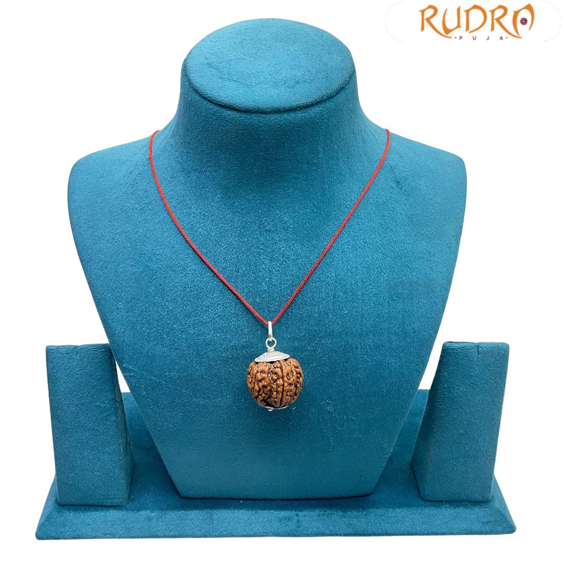 Collector 6 Mukhi Nepal Rudraksha With Silver Capping - (27.20 MM)