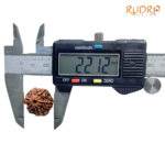 Collector 6 Mukhi Rudraksha Nepal (22.12 MM)