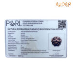 Collector 6 Mukhi Rudraksha Nepal (22.60 MM)