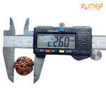 Collector 6 Mukhi Rudraksha Nepal (22.60 MM)