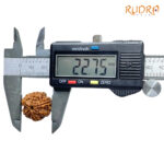 Collector 6 Mukhi Rudraksha Nepal (22.75 MM)