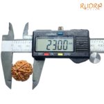 Collector-6-Mukhi-Rudraksha-Nepal-23.00-MM