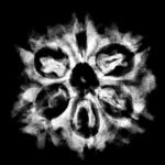 Collector 6 Mukhi Rudraksha Nepal (23.13 Mm)